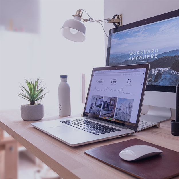 Zynvica Performance Marketing Agency in Delhi - Organic SEO Growth